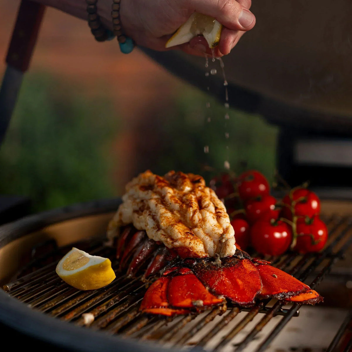 Big Joe™ Konnected Joe™ Digital Charcoal Grill and Smoker